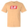 Comfort Colors Adult Unisex Garment-Dyed Heavyweight T-Shirt Thumbnail