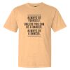 Comfort Colors Adult Unisex Garment-Dyed Heavyweight T-Shirt Thumbnail