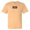 Comfort Colors Adult Unisex Garment-Dyed Heavyweight T-Shirt Thumbnail